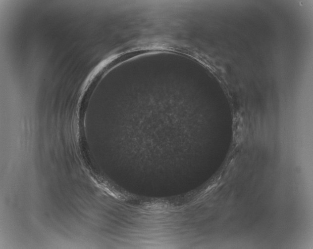 X0000080780200200612151437