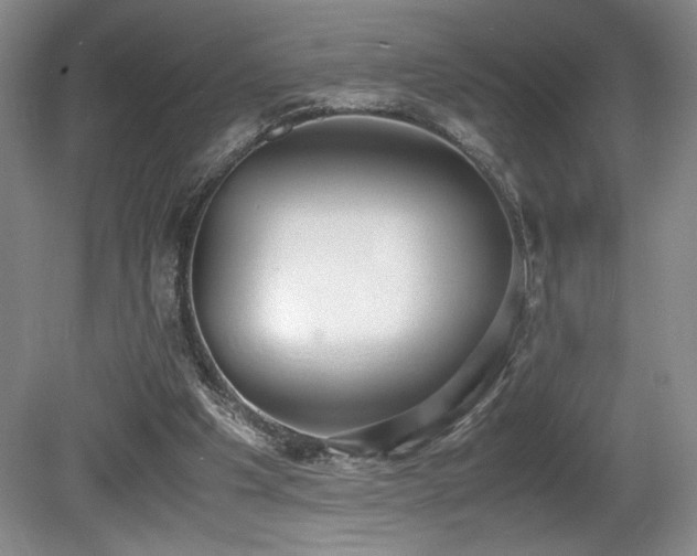 X0000080780201200612151437