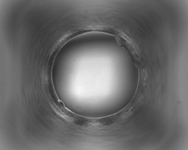X0000080780203200612151437
