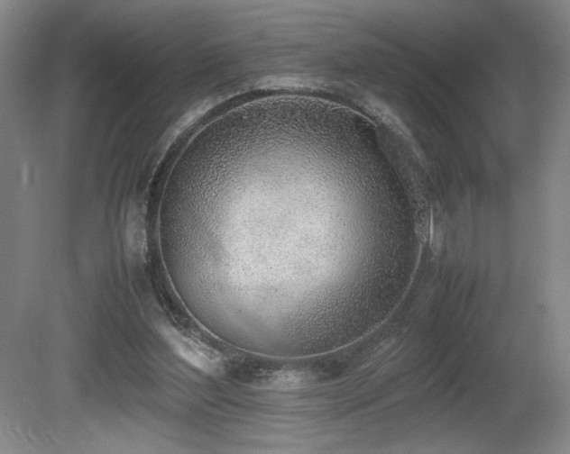 X0000080780204200612151437