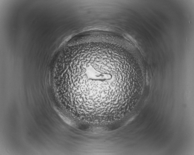 X0000080780205200612151437