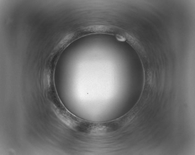 X0000080780206200612151437