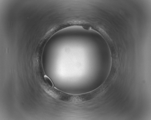 X0000080780207200612151437