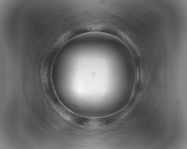 X0000080780209200612151437
