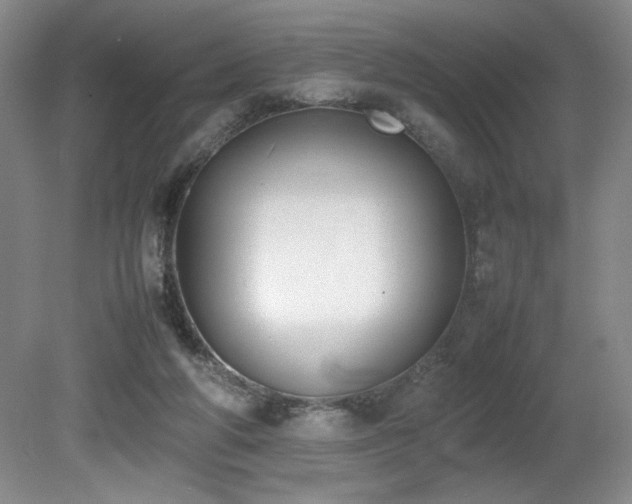 X0000080780210200612151437