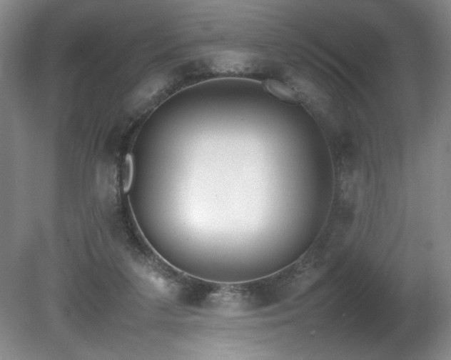 X0000080780211200612151437