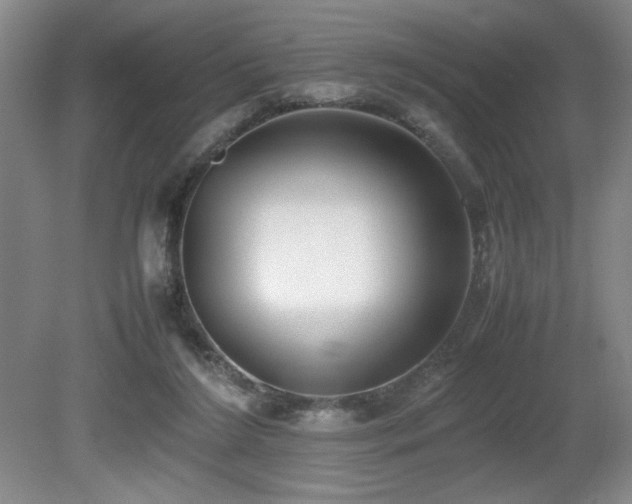 X0000080780212200612151437