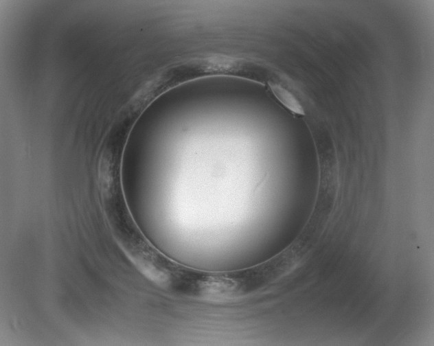 X0000080780215200612151437