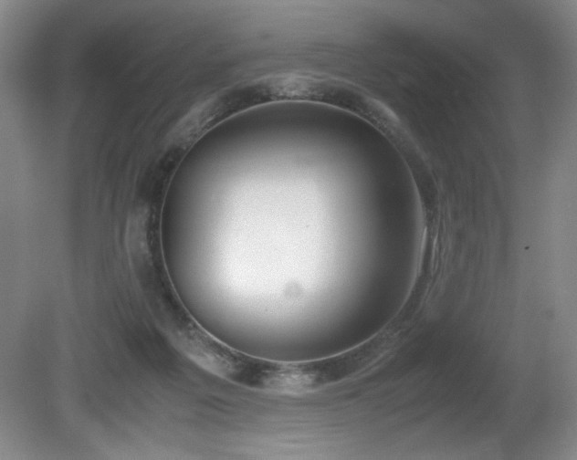 X0000080780217200612151437
