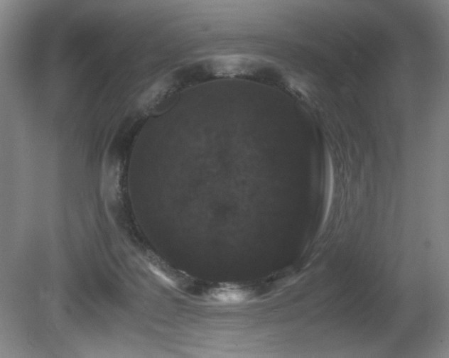 X0000080780219200612151437