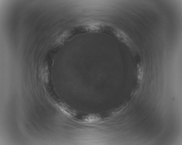 X0000080780223200612151437