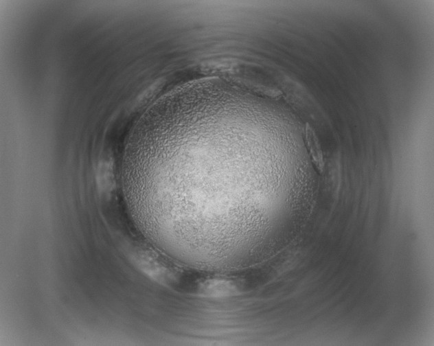X0000080780224200612151437