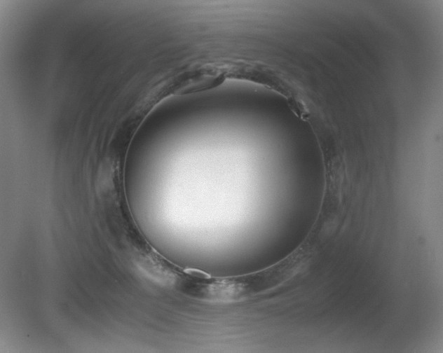 X0000080780225200612151437