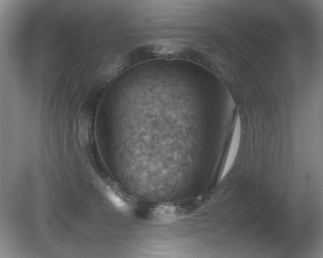 X0000080780227200612151437