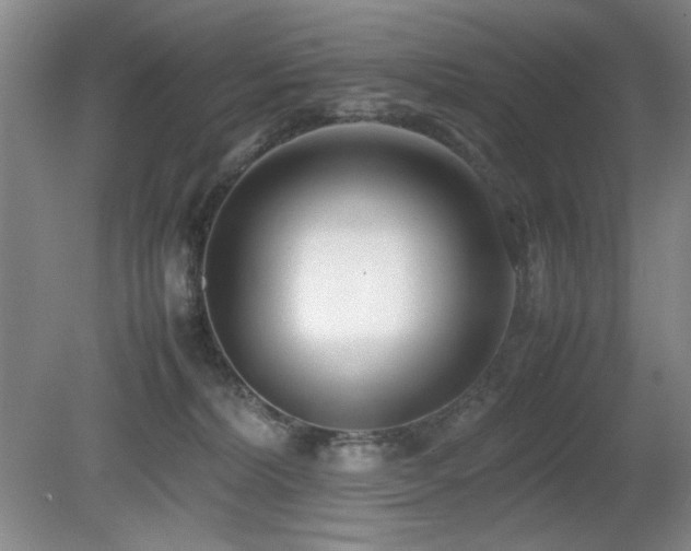 X0000080780228200612151437