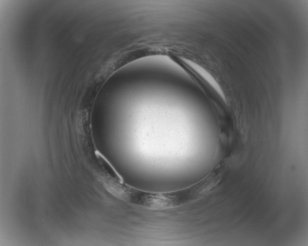 X0000080780229200612151437