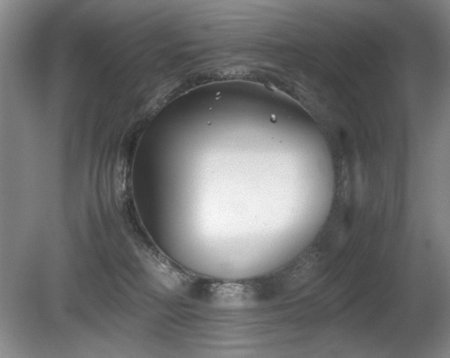 X0000080780230200612151437