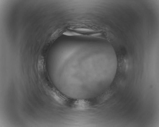X0000080780231200612151437