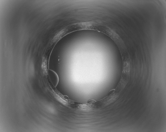 X0000080780238200612151437