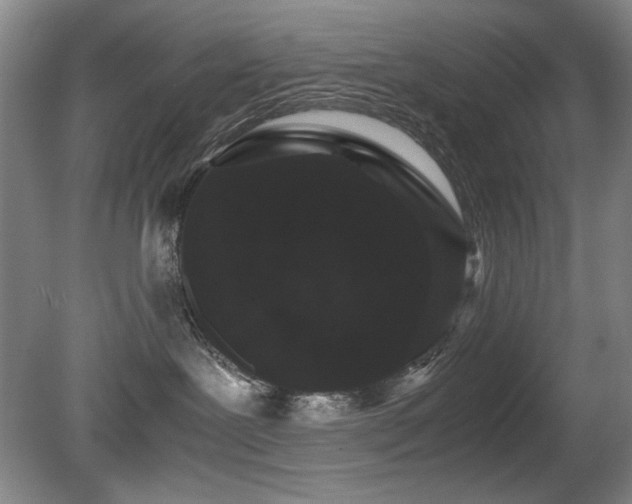 X0000080780239200612151437