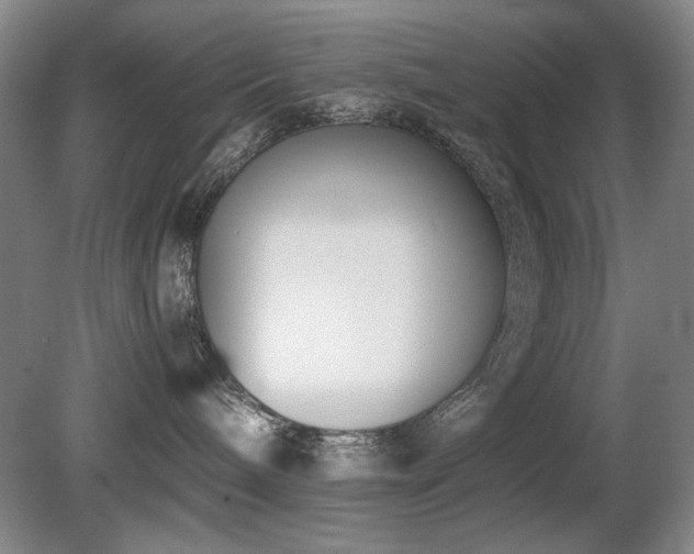 X0000080780240200612151437