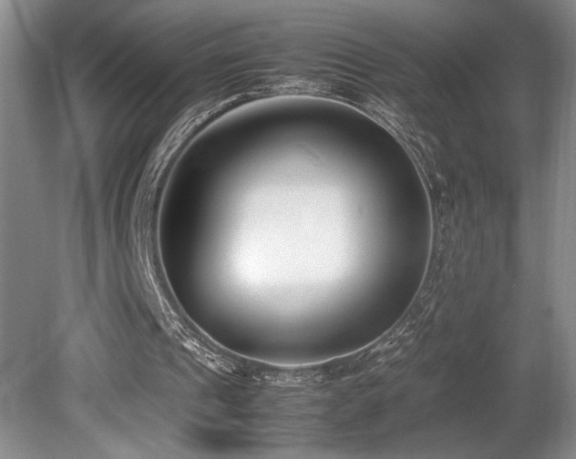 X0000080780241200612151436