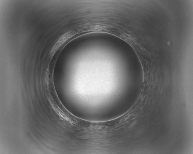 X0000080780242200612151436