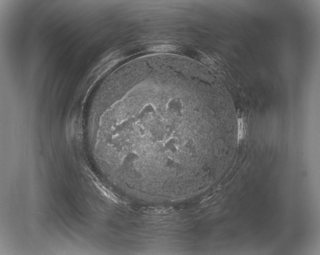 X0000080780243200612151436