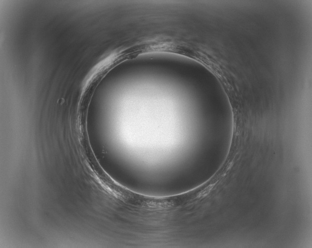 X0000080780245200612151436