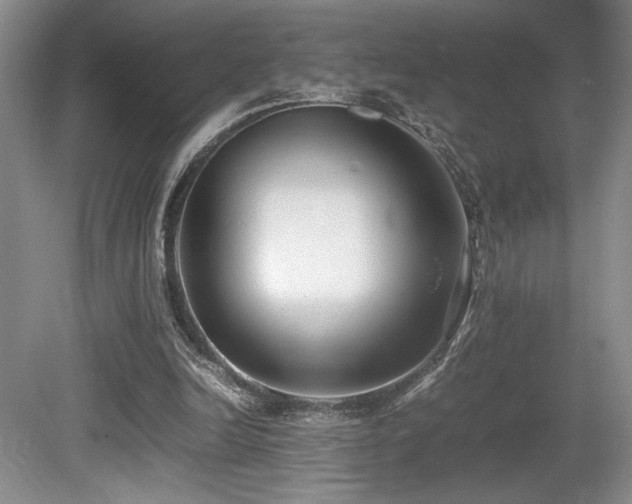 X0000080780246200612151436