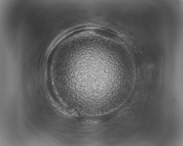 X0000080780247200612151436