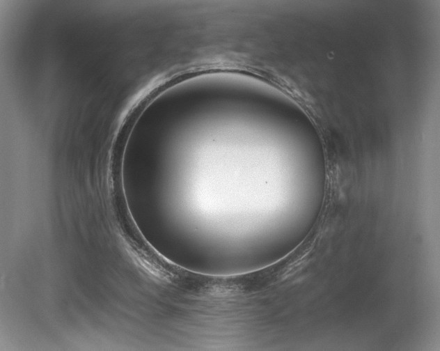 X0000080780248200612151436