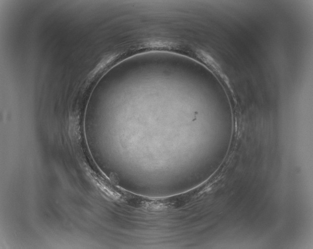 X0000080780249200612151436
