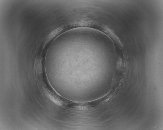 X0000080780250200612151436
