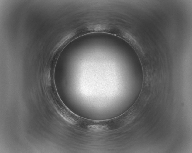 X0000080780251200612151436