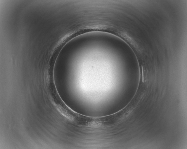 X0000080780252200612151436