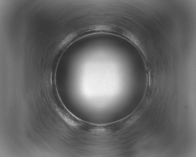 X0000080780253200612151436