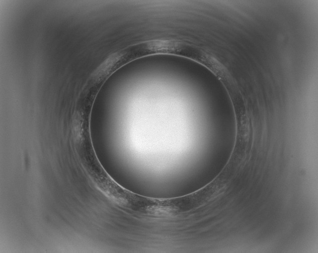 X0000080780255200612151436