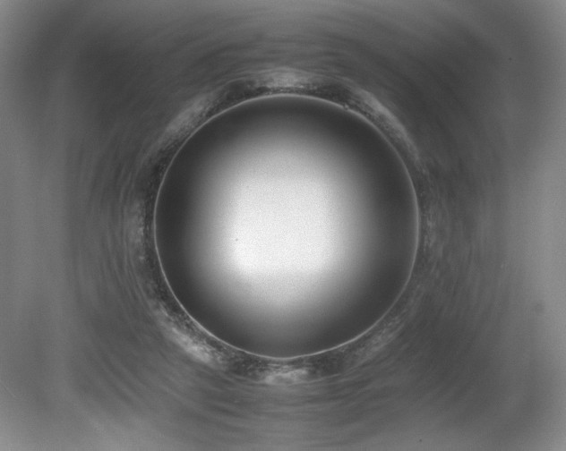 X0000080780257200612151436