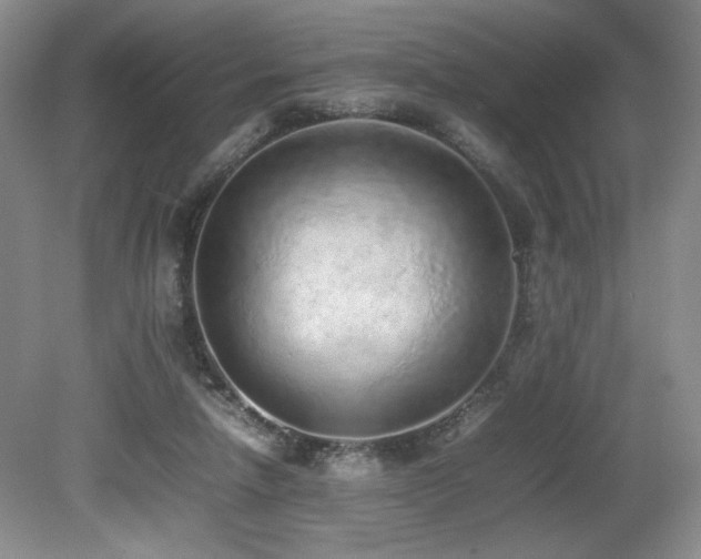 X0000080780258200612151436