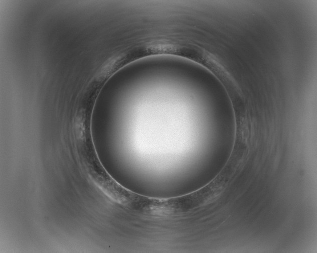 X0000080780259200612151436