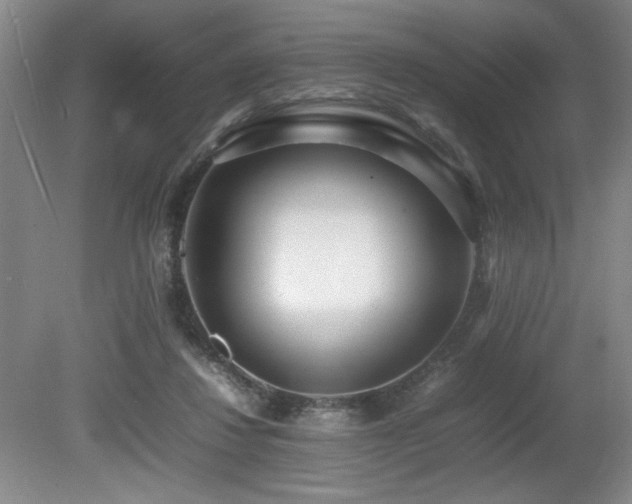 X0000080780260200612151436