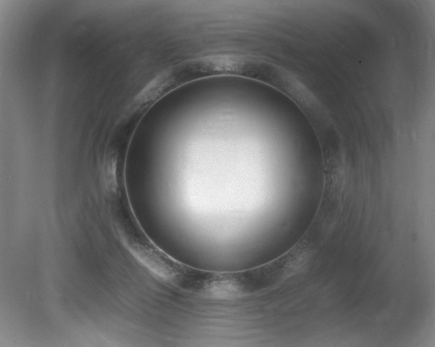X0000080780262200612151436