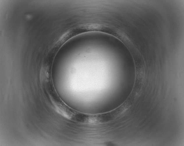 X0000080780264200612151436