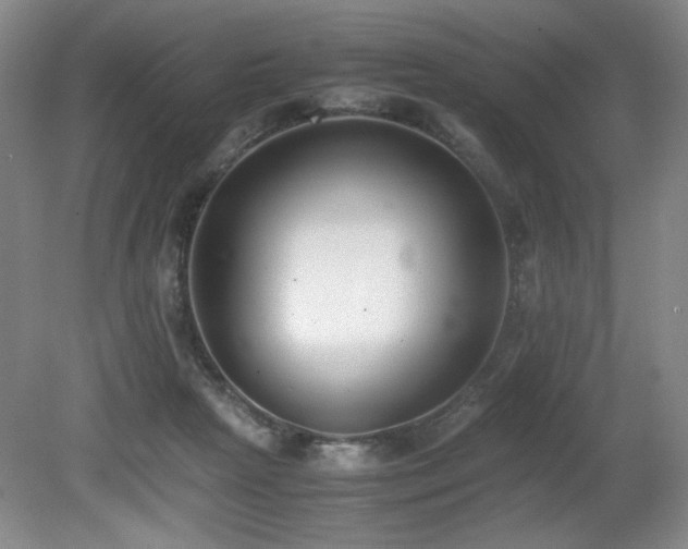 X0000080780265200612151436