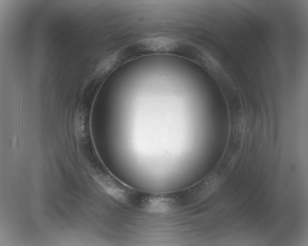 X0000080780268200612151436