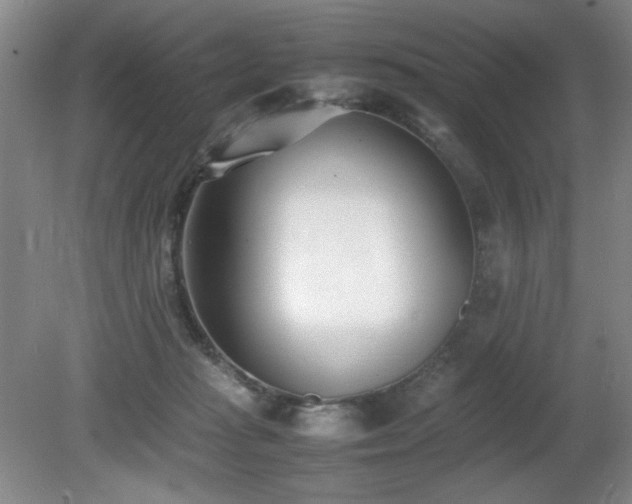 X0000080780269200612151436