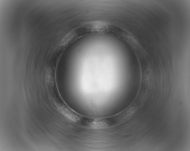 X0000080780270200612151436