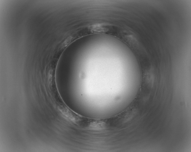 X0000080780271200612151436