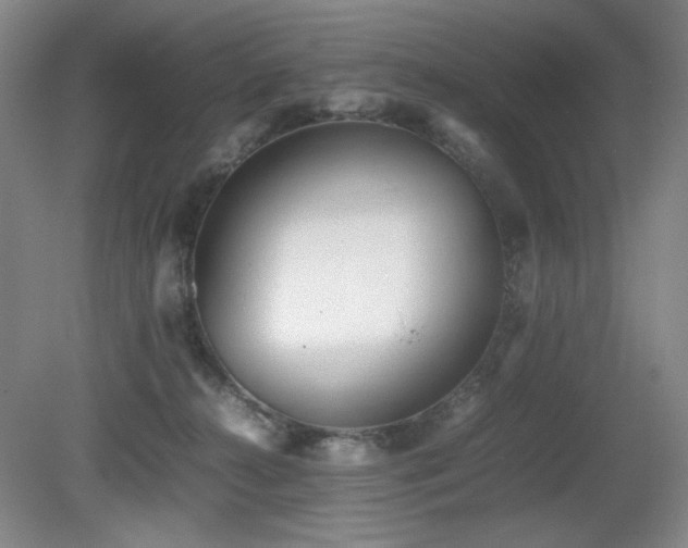 X0000080780272200612151436